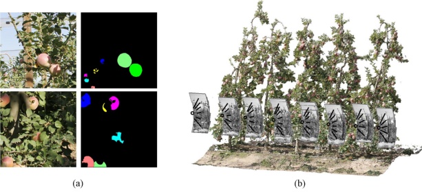 Fuji-SfM_dataset